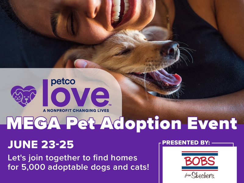 Mega Florida Adoptions